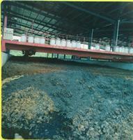 有机肥翻抛机选购指南 高效翻堆设备推荐